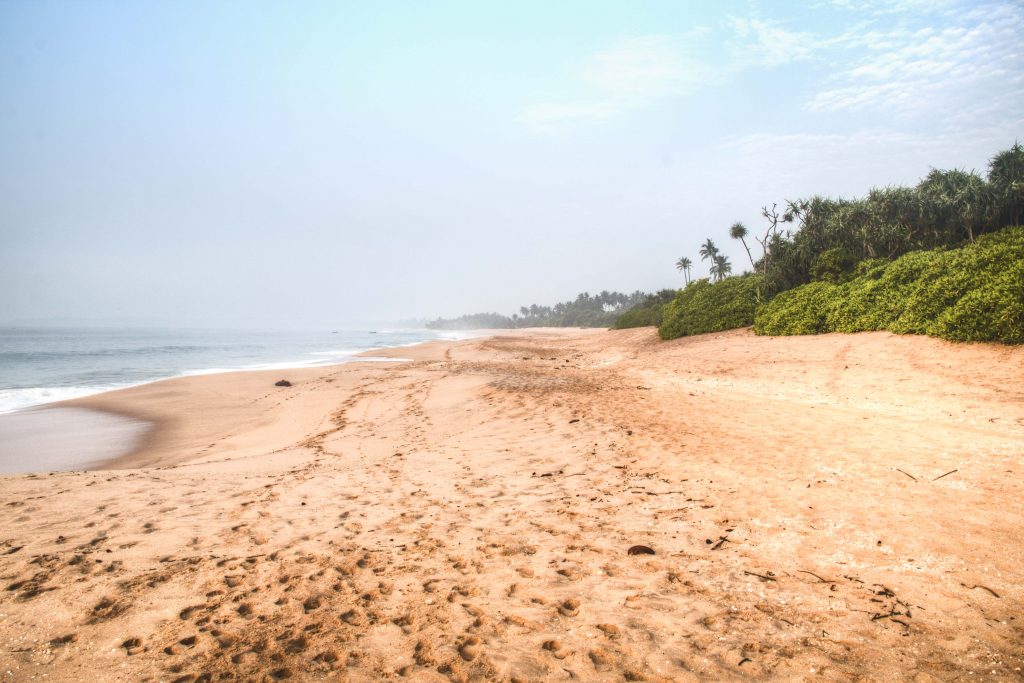 Exotic Beach Nudes - Nudism in Sri Lanka: It's not easy to get naked - Naked ...