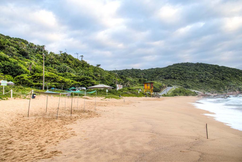 Sao Paulo Brazil Beach Naked - Praia do Pinho near Florianopolis, Brazil: Review - Naked Wanderings